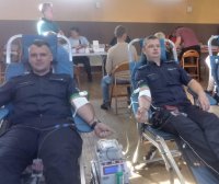 policjanci honorowo oddają krew
