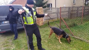 policjanci- przewodnicy psów tropiących podczas poszukiwań razem z psem