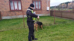 policjant razem z psem podczas odnajdywania tropu zaginionego