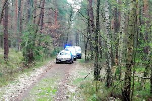 policyjne radiowozy w dukcie leśnym
