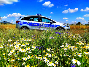 Policyjny radiowóz, obok radiowozu łąka kwietna.
