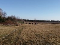 poszukiwania