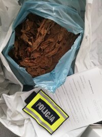 zabezpieczone liście tytoniu
