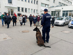 pokaz tresury psa służbowego