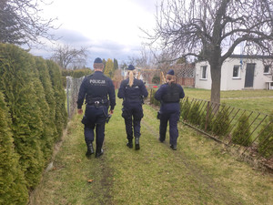 policjanci podczas kontroli ogródków działkowych