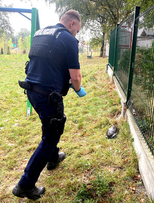 Policjant z żółwiem.