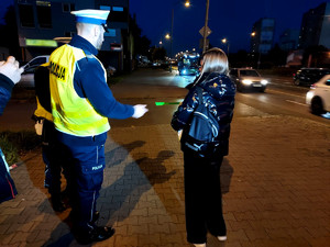 Policjanci podczas działań &quot;Świeć Przykładem&quot;.