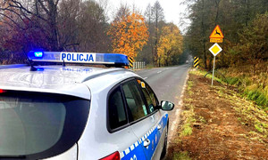 policyjny radiowóz przed znakiem drogowym - uwaga dzikie zwierzęta.