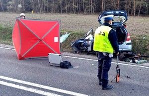 Policjant na miejscu zdarzenia, w tle rozbita honda.