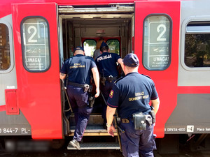 Policjanci podczas łączonych patroli.