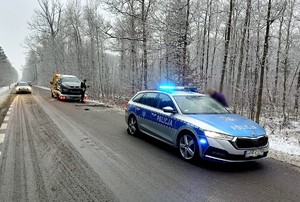 Policyjny radiowóz, w tle pojazd ford na lawecie.