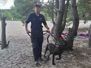 Policjanci oraz inne służby podczas poszukiwań.