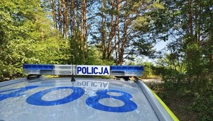 Dach radiowozu zaparkowanego w lesie.