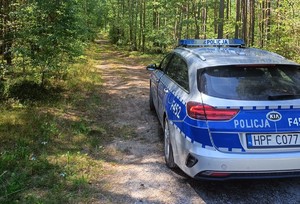 Policyjny radiowóz w dukcie leśnym.