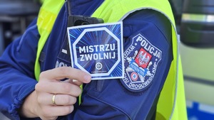 Policjanci podczas kontroli drogowych.