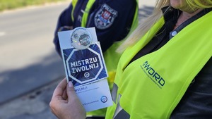 Policjanci podczas kontroli drogowych.