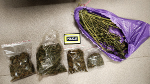 Susz roślinny w woreczkach i worku foliowym.