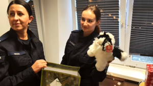 Policjanci podczas Mikołajkowej akcji charytatywnej.