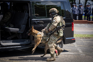 Policjant drogówki odbiera puchar.