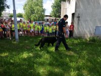pokaz tresury psa policyjnego